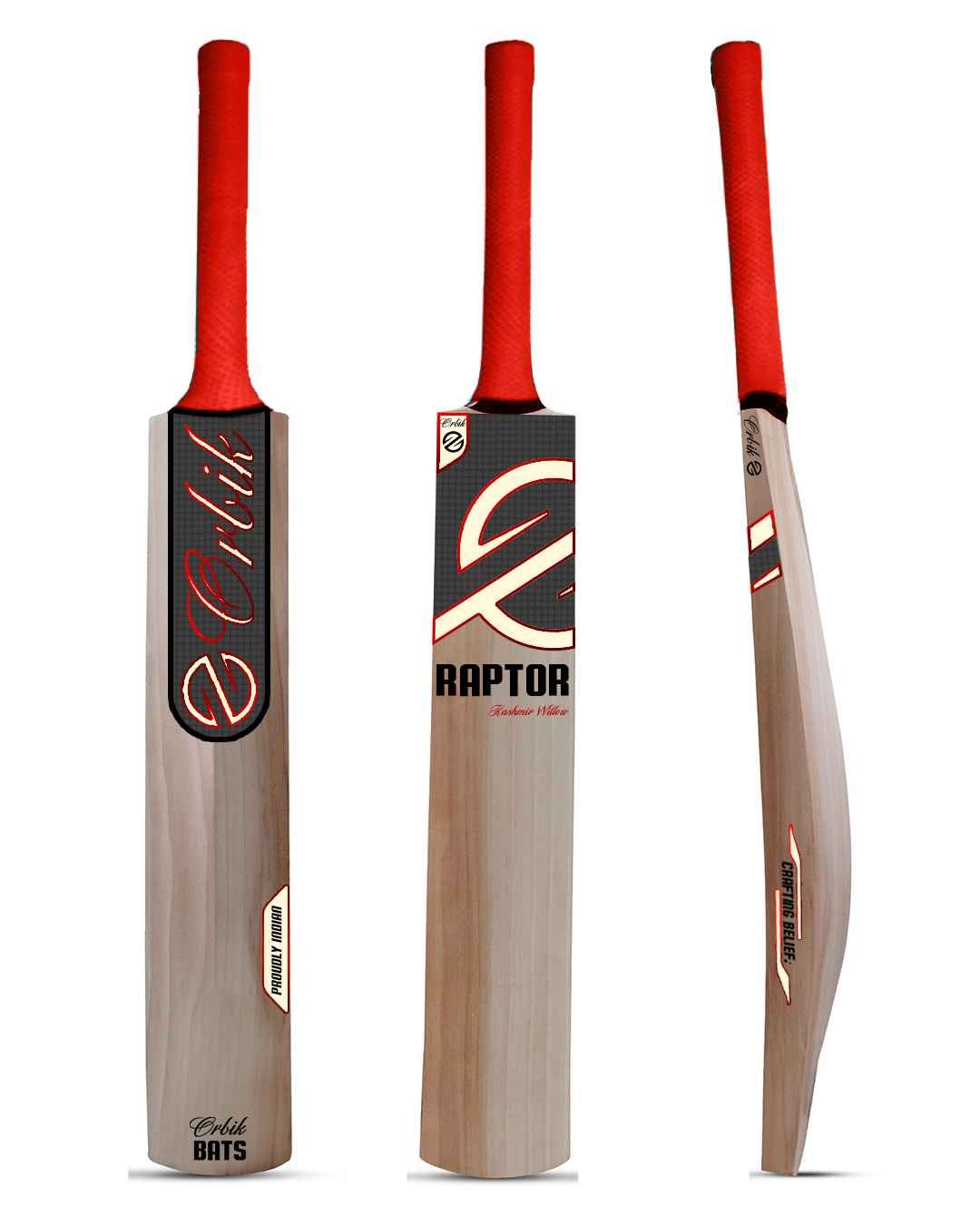 Orbik Raptor English Willow cricket bat front and side profile