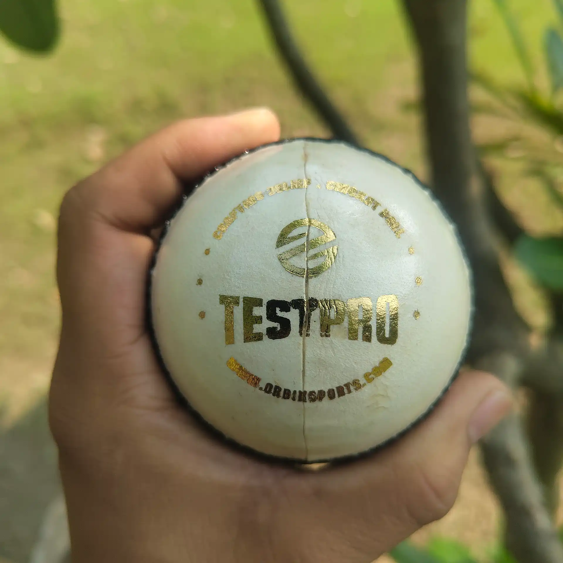 White Testpro cricket ball photographed outdoors